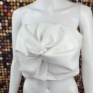 CHICWISH Satin-Like Strapless Crop Top